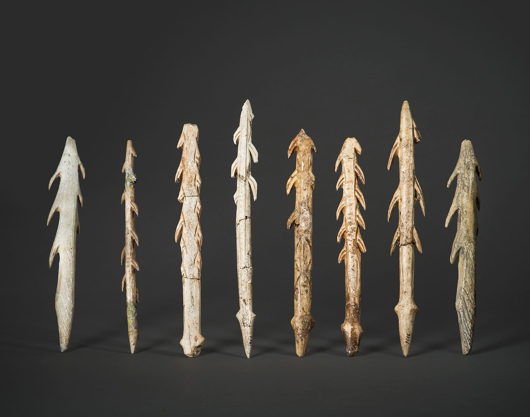 Harpons en bois de renne - Musée archéologique du Pech Merle