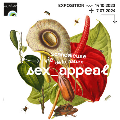 Exposition Sex Appeal
